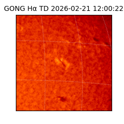 gong - 2026-02-21T12:00:22
