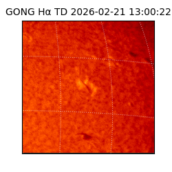 gong - 2026-02-21T13:00:22