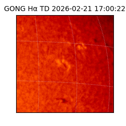 gong - 2026-02-21T17:00:22