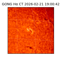 gong - 2026-02-21T19:00:42