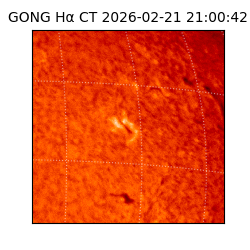 gong - 2026-02-21T21:00:42