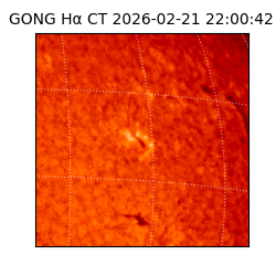 gong - 2026-02-21T22:00:42