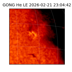gong - 2026-02-21T23:04:42