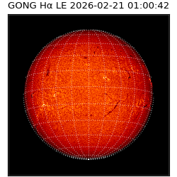 gong - 2026-02-21T01:00:42