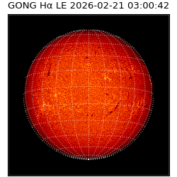 gong - 2026-02-21T03:00:42