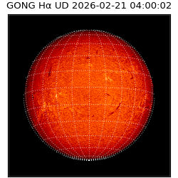 gong - 2026-02-21T04:00:02
