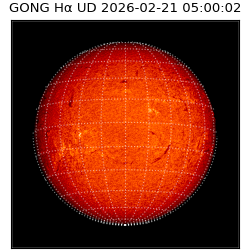 gong - 2026-02-21T05:00:02