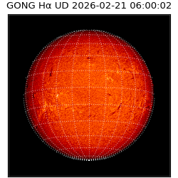 gong - 2026-02-21T06:00:02
