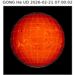 gong - 2026-02-21T07:00:02