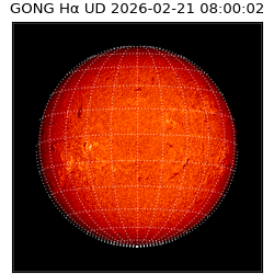 gong - 2026-02-21T08:00:02