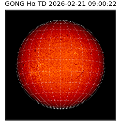 gong - 2026-02-21T09:00:22