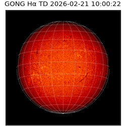 gong - 2026-02-21T10:00:22