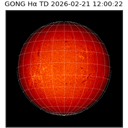 gong - 2026-02-21T12:00:22