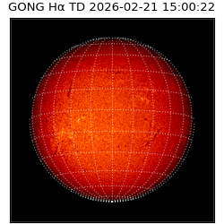 gong - 2026-02-21T15:00:22