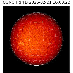 gong - 2026-02-21T16:00:22