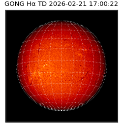 gong - 2026-02-21T17:00:22