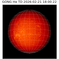 gong - 2026-02-21T18:00:22