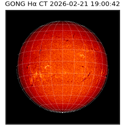 gong - 2026-02-21T19:00:42