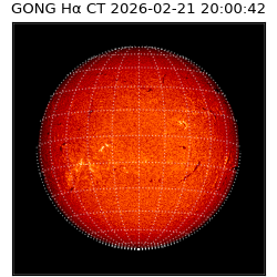 gong - 2026-02-21T20:00:42