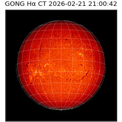 gong - 2026-02-21T21:00:42