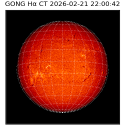 gong - 2026-02-21T22:00:42