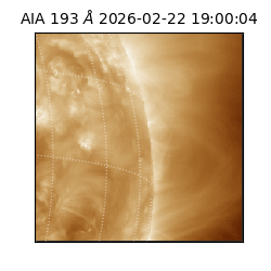 saia - 2026-02-22T19:00:04.843000