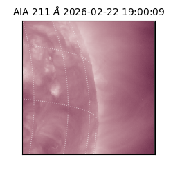 saia - 2026-02-22T19:00:09.631000