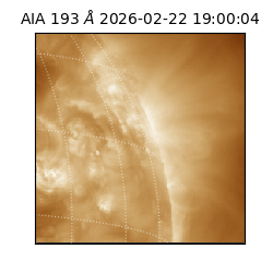 saia - 2026-02-22T19:00:04.843000