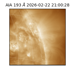 saia - 2026-02-22T21:00:28.843000