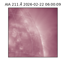 saia - 2026-02-22T06:00:09.626000