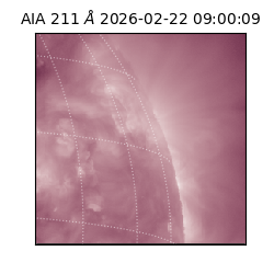 saia - 2026-02-22T09:00:09.626000