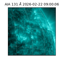 saia - 2026-02-22T09:00:06.647000