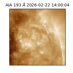saia - 2026-02-22T14:00:04.842000