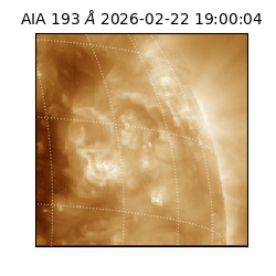 saia - 2026-02-22T19:00:04.843000