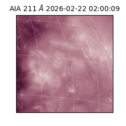 saia - 2026-02-22T02:00:09.626000