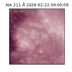 saia - 2026-02-22T04:00:09.626000