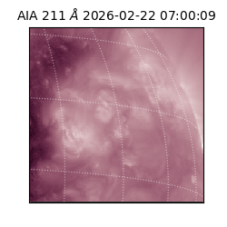 saia - 2026-02-22T07:00:09.632000