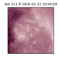 saia - 2026-02-22T10:00:09.632000