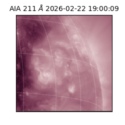 saia - 2026-02-22T19:00:09.631000