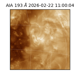 saia - 2026-02-22T11:00:04.843000