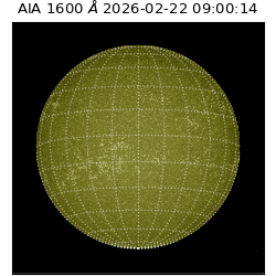 saia - 2026-02-22T09:00:14.126000
