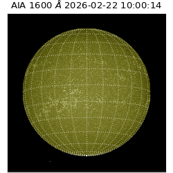 saia - 2026-02-22T10:00:14.129000