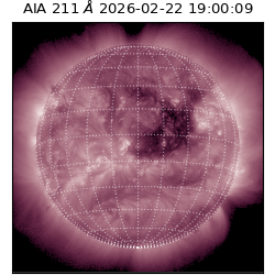 saia - 2026-02-22T19:00:09.631000