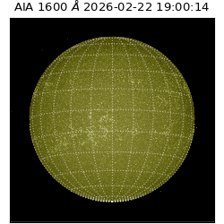 saia - 2026-02-22T19:00:14.126000