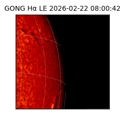 gong - 2026-02-22T08:00:42