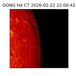 gong - 2026-02-22T22:00:42