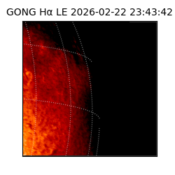 gong - 2026-02-22T23:43:42