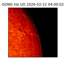 gong - 2026-02-22T04:00:02