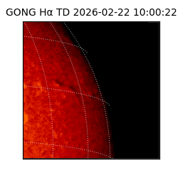 gong - 2026-02-22T10:00:22