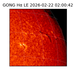 gong - 2026-02-22T02:00:42